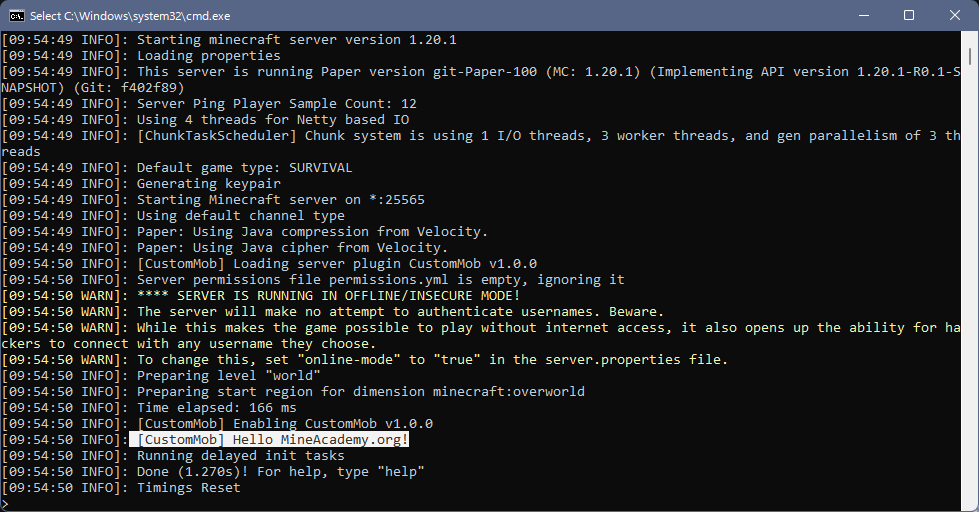 Plugin console Message